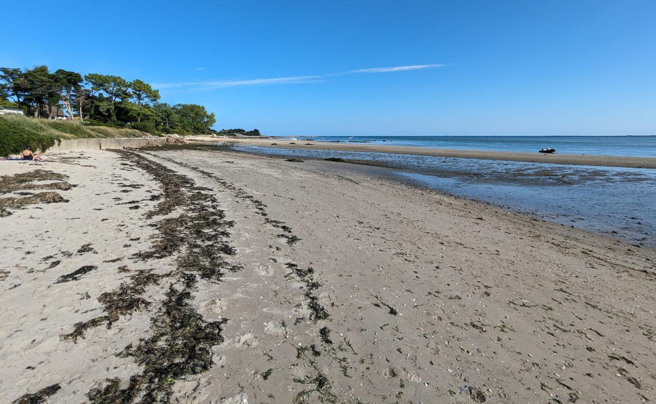 Plage de Jonville'in fotoğrafı parlak kum yüzey ile