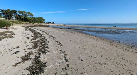 Plage de Jonville