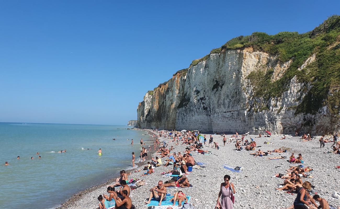 Plage de Veules-les-Roses'in fotoğrafı gri çakıl taşı yüzey ile