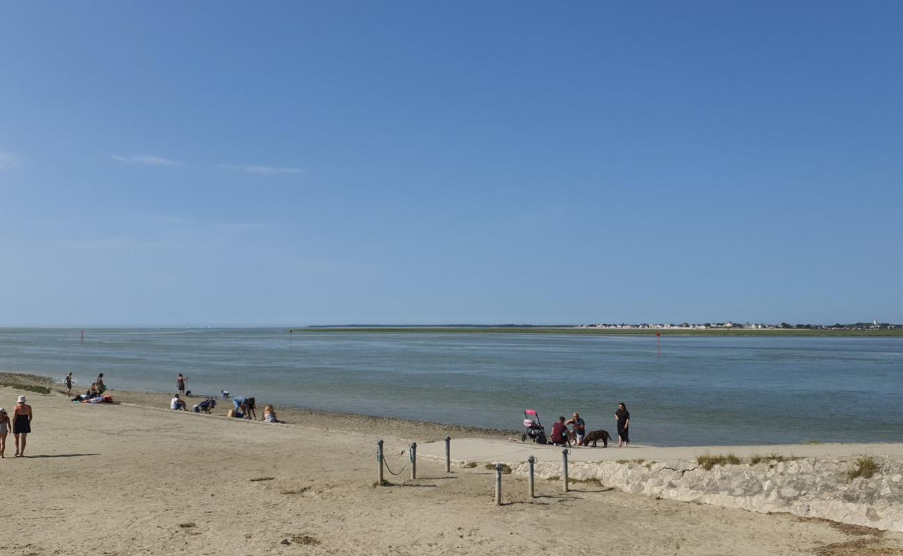 Plage de Saint-Valery-sur-Somme'in fotoğrafı açık bej kum yüzey ile
