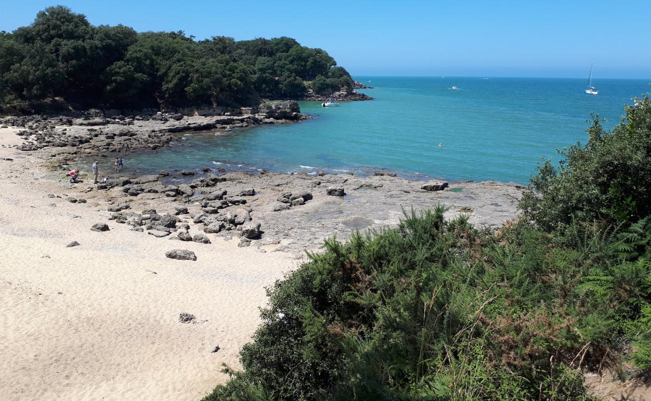 Plage des Sables Jaunes'in fotoğrafı açık bej kum yüzey ile