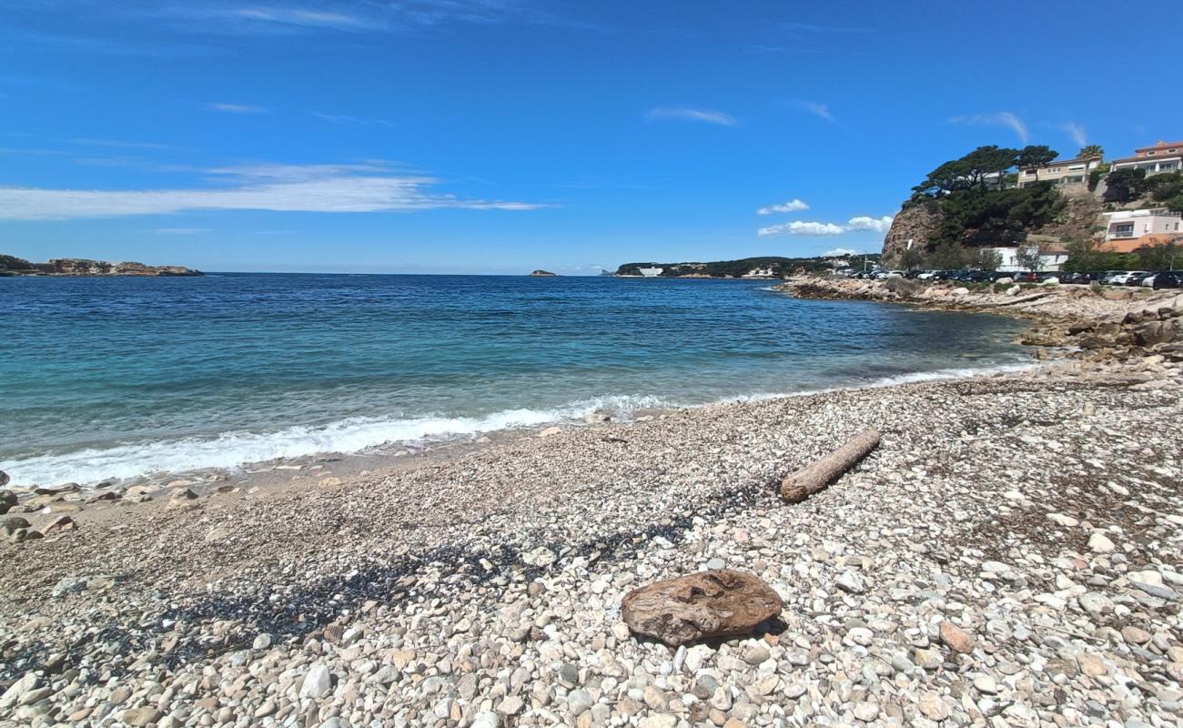 Plage pour Chiens'in fotoğrafı gri çakıl taşı yüzey ile