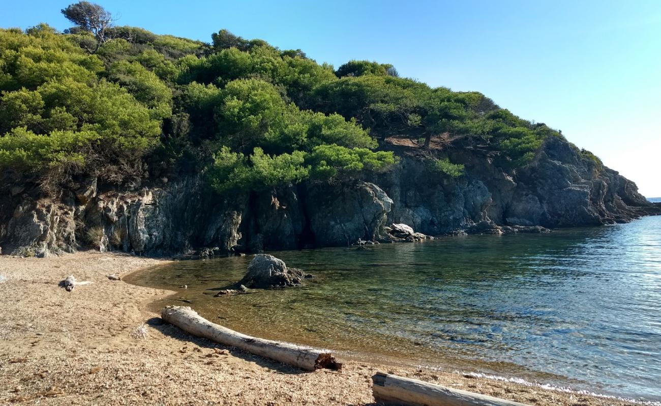 Calanque du Breganconnet'in fotoğrafı küçük gri çakıllar yüzey ile
