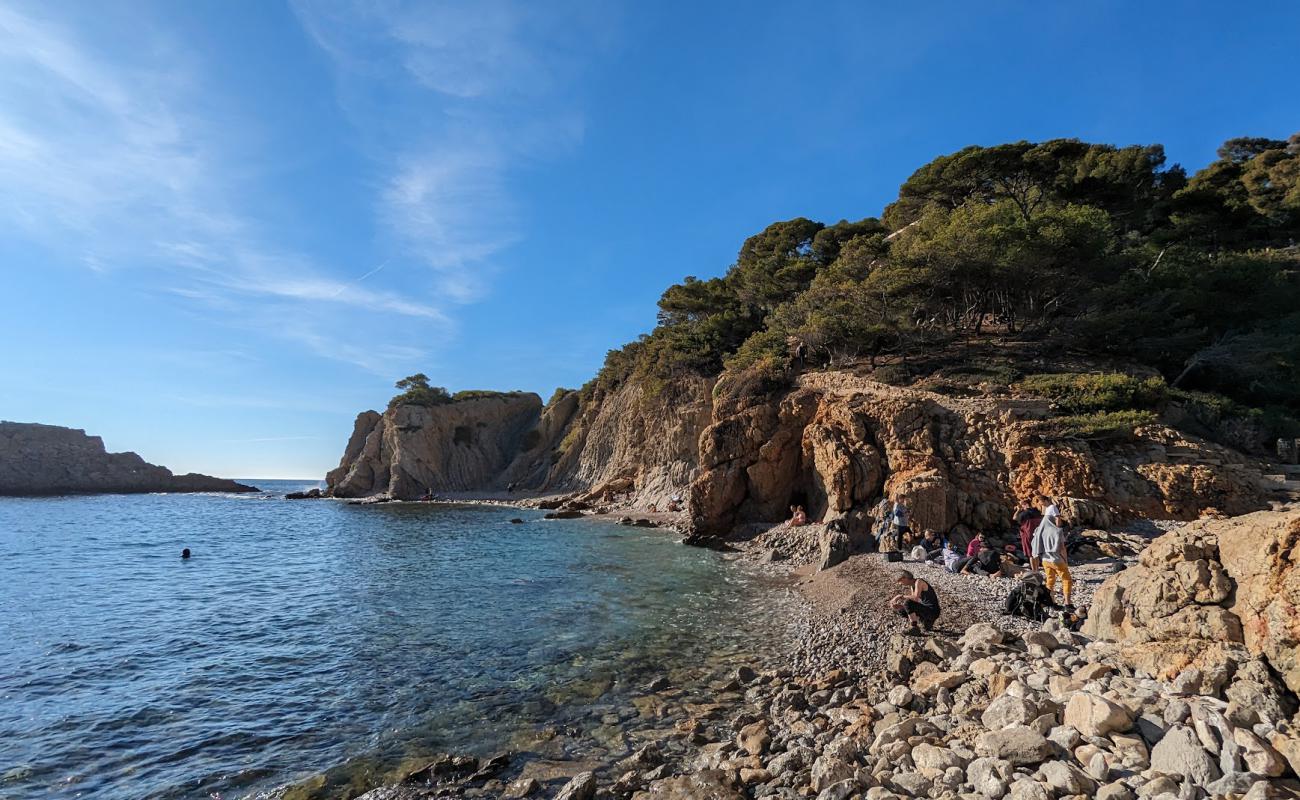 Plage Calanque Des Anthenors'in fotoğrafı gri çakıl taşı yüzey ile