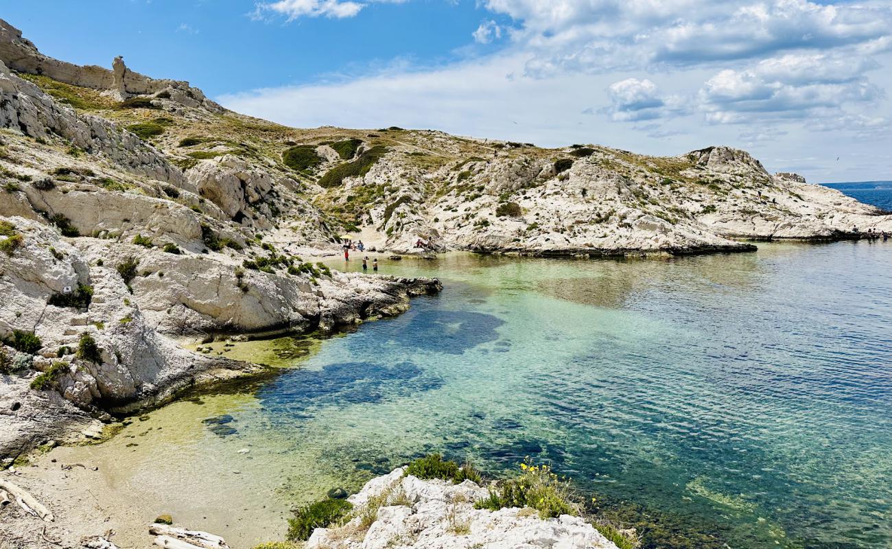 Calanque De La Crine'in fotoğrafı kayalık arazi yüzey ile