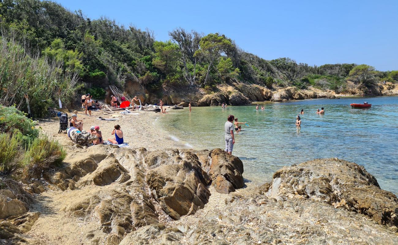 Plage de l'aiguade'in fotoğrafı gri ince çakıl taş yüzey ile