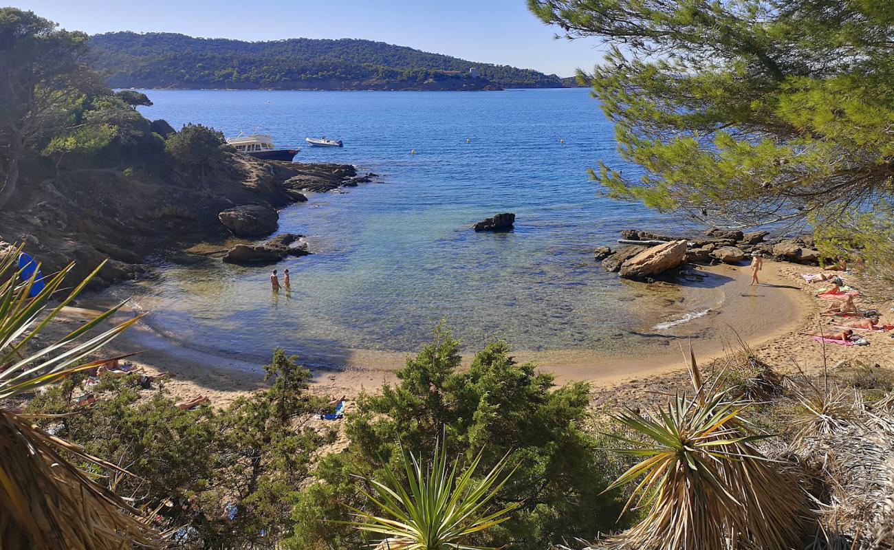 Plage Naturiste des Grottes'in fotoğrafı parlak kum yüzey ile