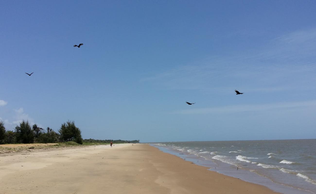 Plage De Kourou'in fotoğrafı kahverengi kum yüzey ile
