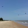Plage De Kourou