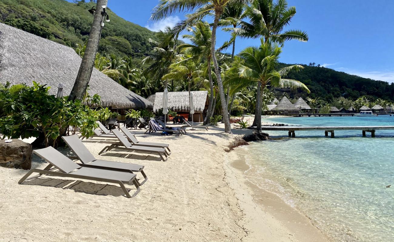 Royale Bora Bora Plajı'in fotoğrafı parlak kum yüzey ile