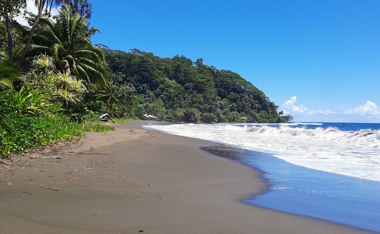 Plage de Tiarei'in fotoğrafı i̇nce kahverengi kum yüzey ile