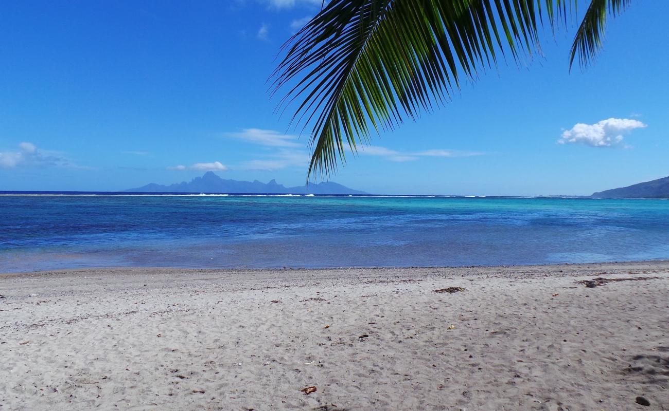 Plage de Rohotu'in fotoğrafı açık bej kum yüzey ile