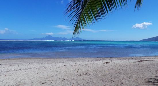 Plage de Rohotu