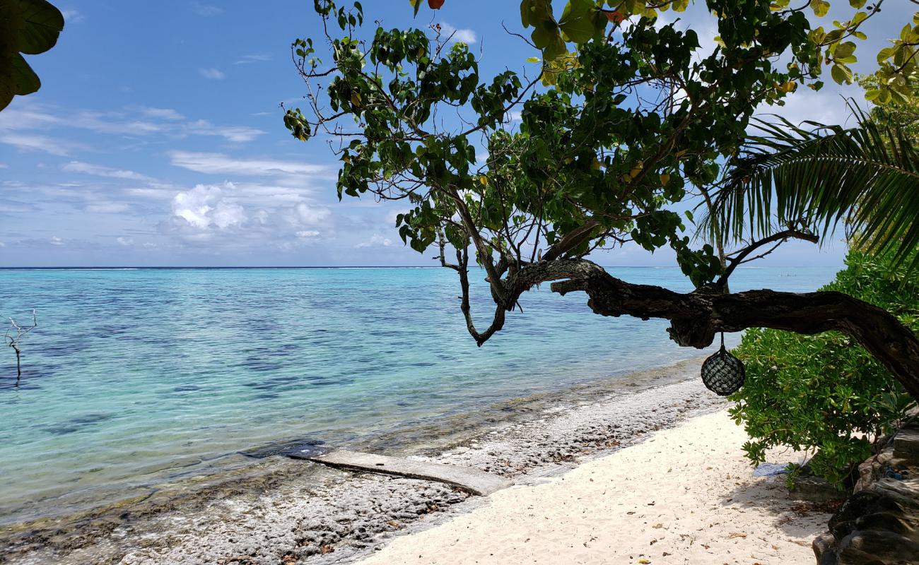 Pineapple Beach'in fotoğrafı bej kum ve kayalar yüzey ile