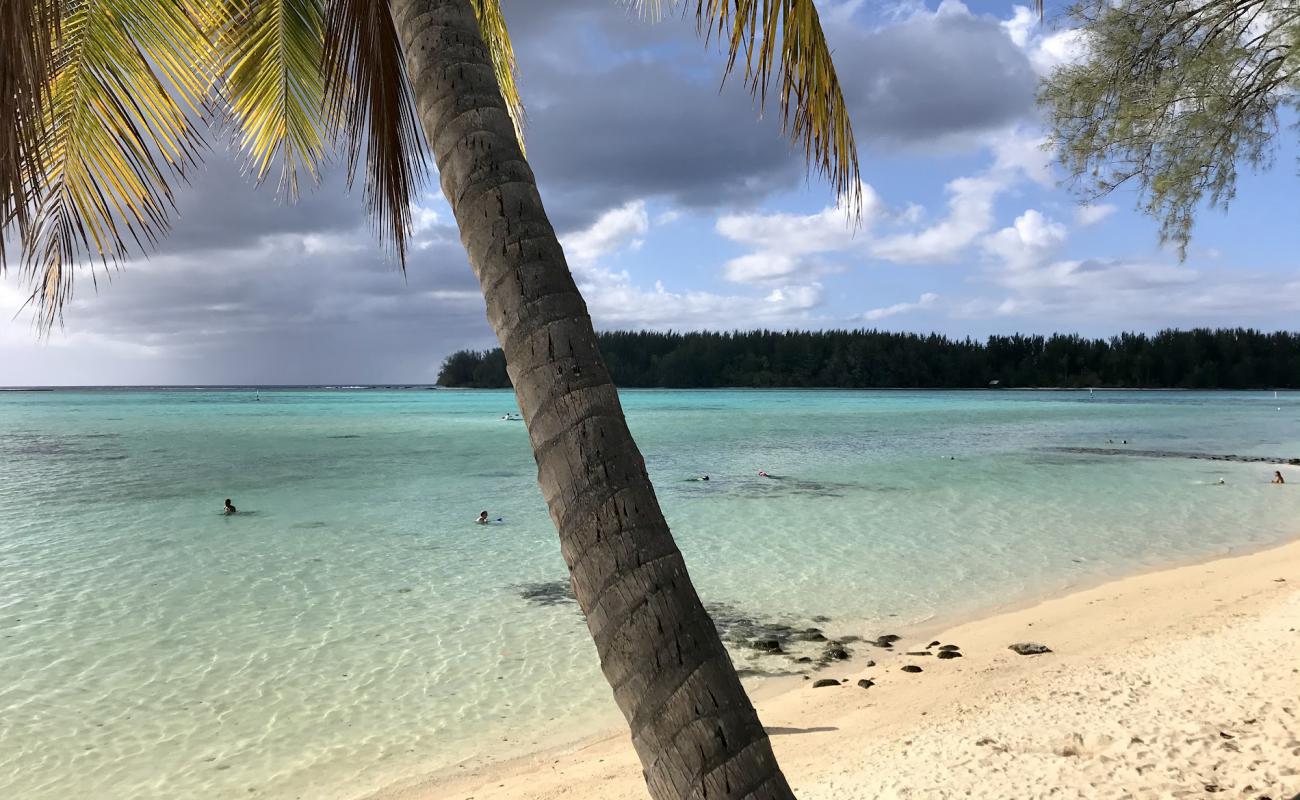 Hauru Beach'in fotoğrafı parlak kum ve kayalar yüzey ile