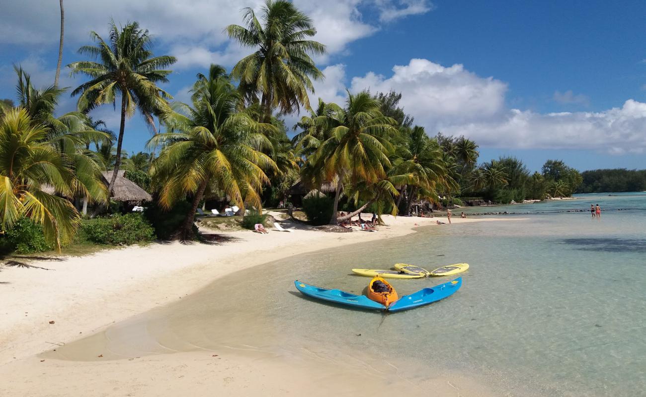 Plage des tipaniers'in fotoğrafı parlak ince kum yüzey ile