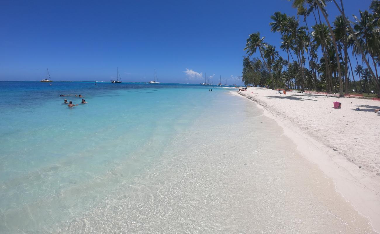 Plage de Ta'ahiamanu'in fotoğrafı beyaz kum yüzey ile