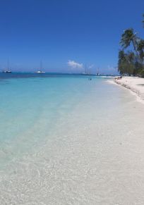 Pihaena
