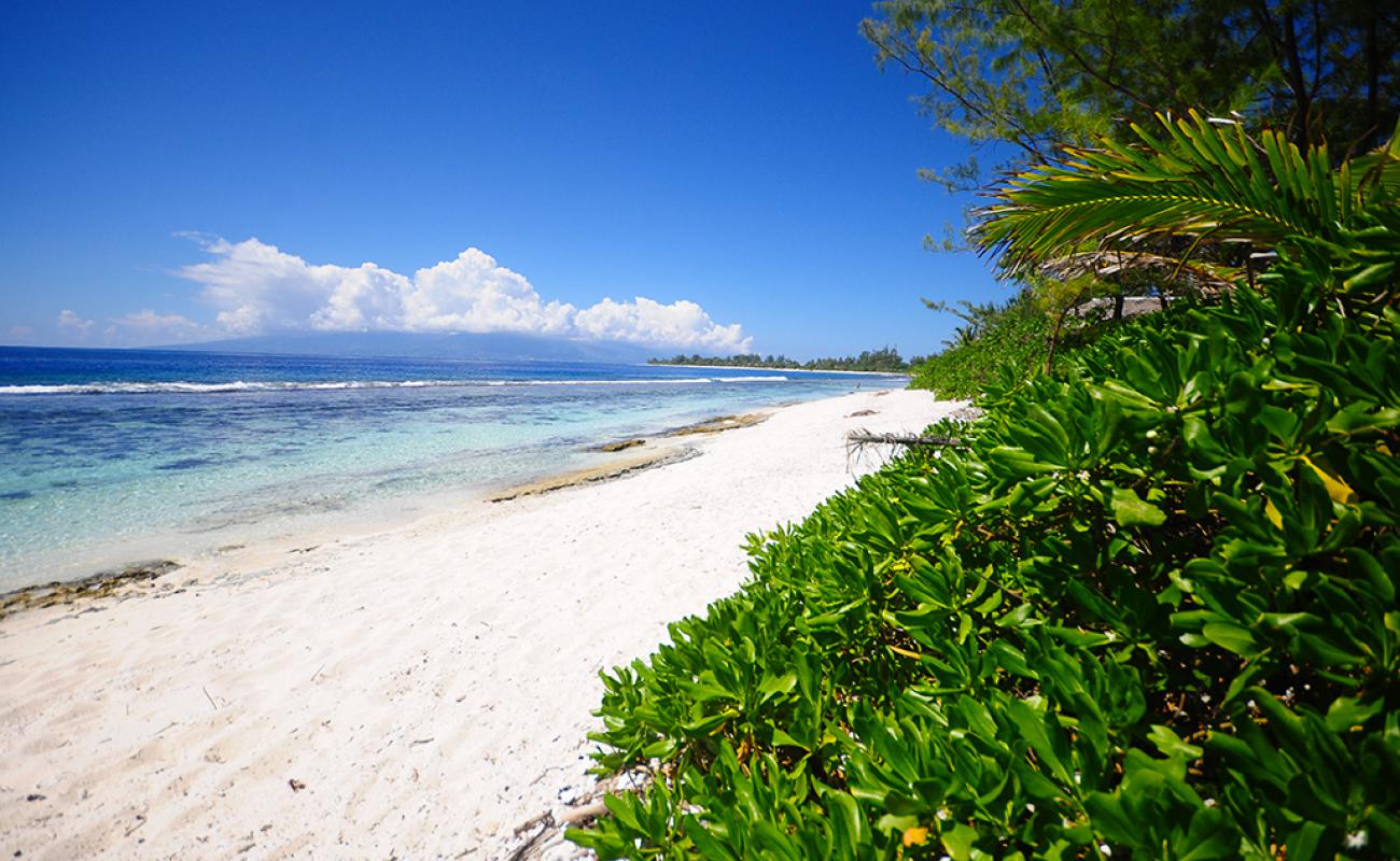 Maharepa Beach'in fotoğrafı beyaz kum yüzey ile