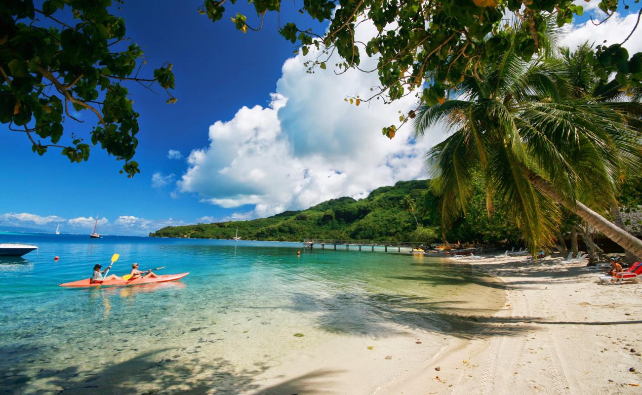 Avea Beach'in fotoğrafı beyaz kum yüzey ile