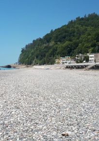 Sarp