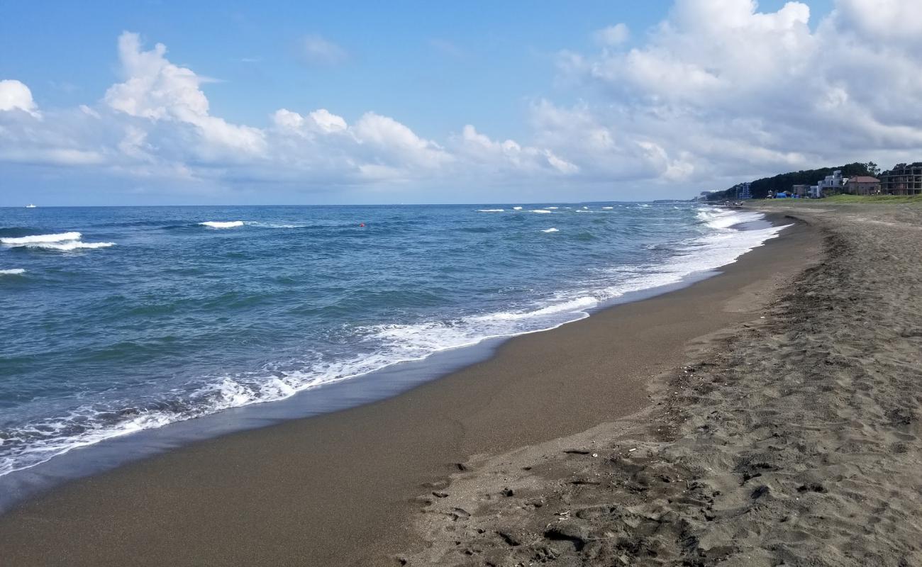 Shekvetili beach'in fotoğrafı siyah kum yüzey ile