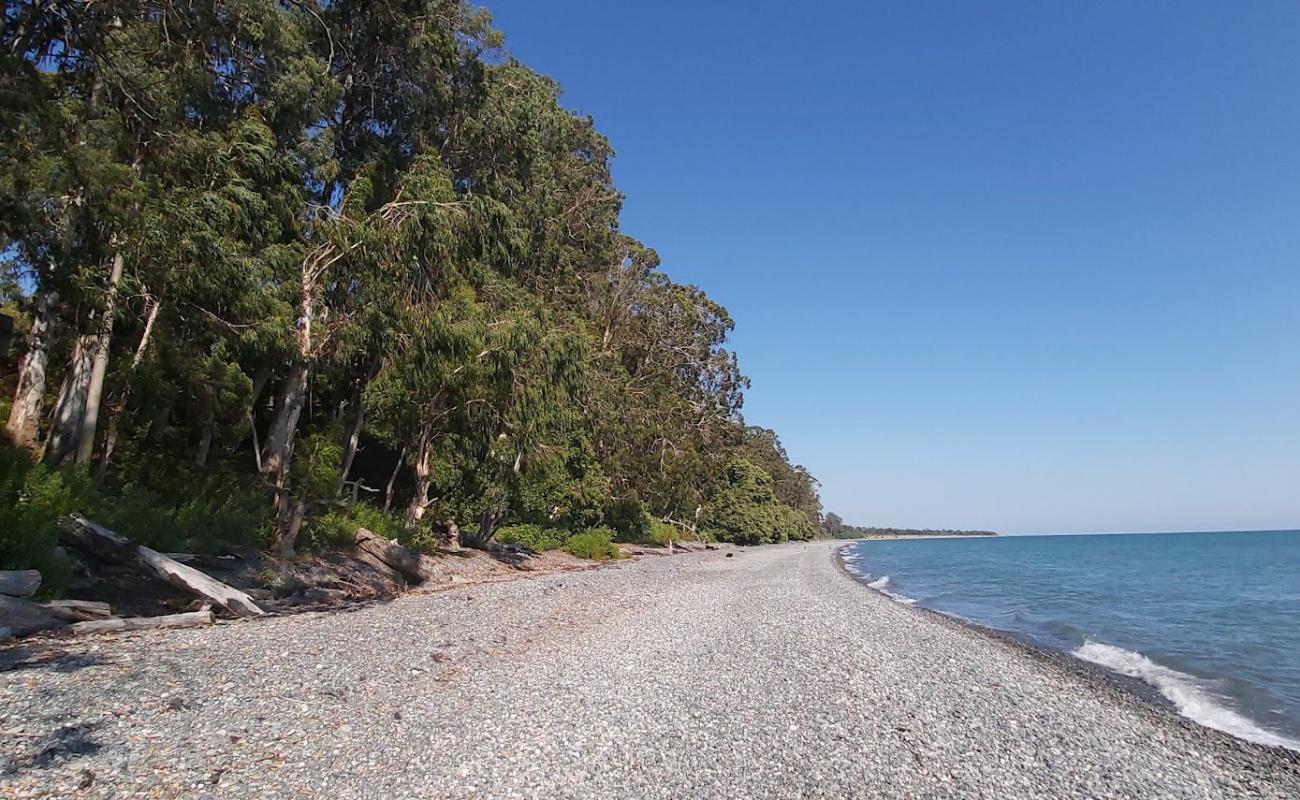 Akhali-Kindgi beach'in fotoğrafı gri çakıl taşı yüzey ile