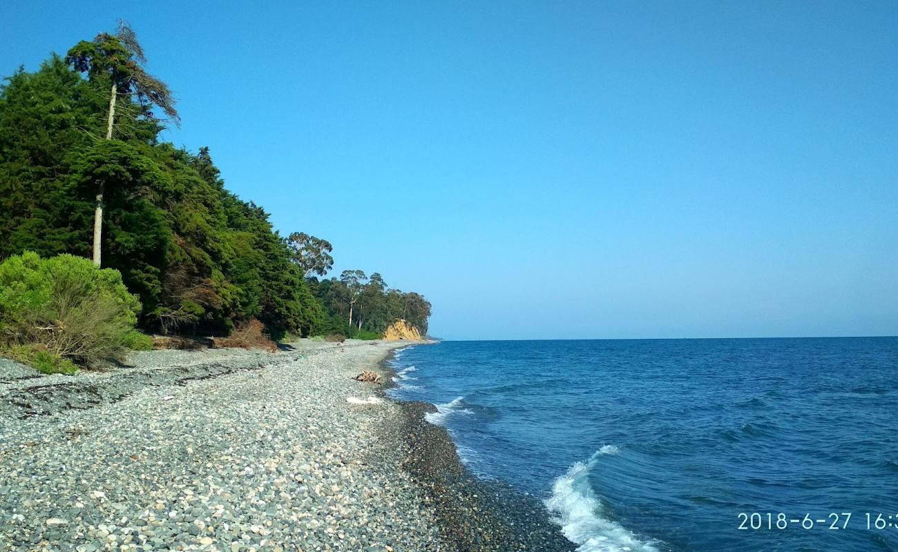 Tskurgili beach'in fotoğrafı hafif çakıl yüzey ile