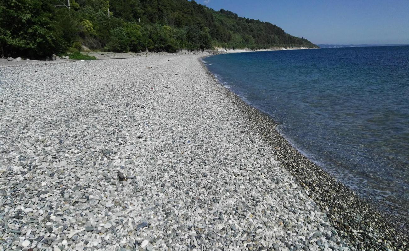 Solnechnyi beach'in fotoğrafı hafif çakıl yüzey ile