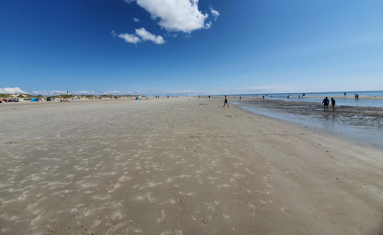 Kniepsand Beach'in fotoğrafı açık bej kum yüzey ile