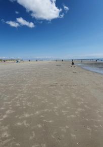 Amrum Adası
