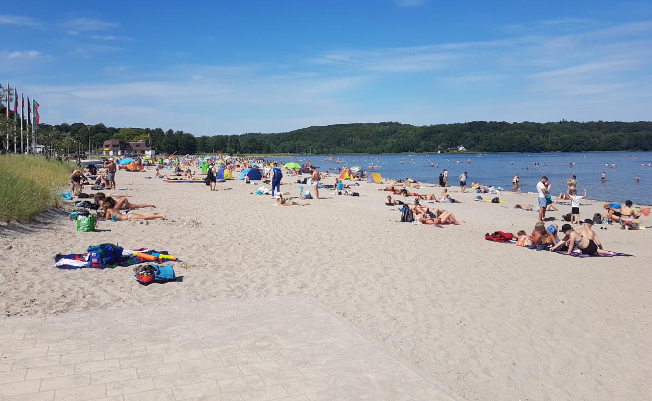 Wassersleben plajı'in fotoğrafı parlak kum yüzey ile