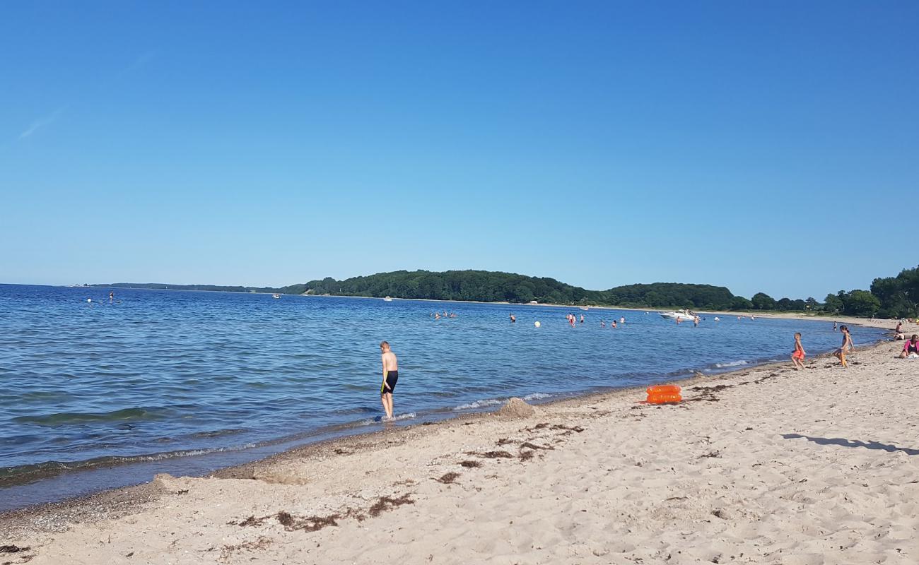 Sudstrand Eckernforde'in fotoğrafı açık bej kum yüzey ile