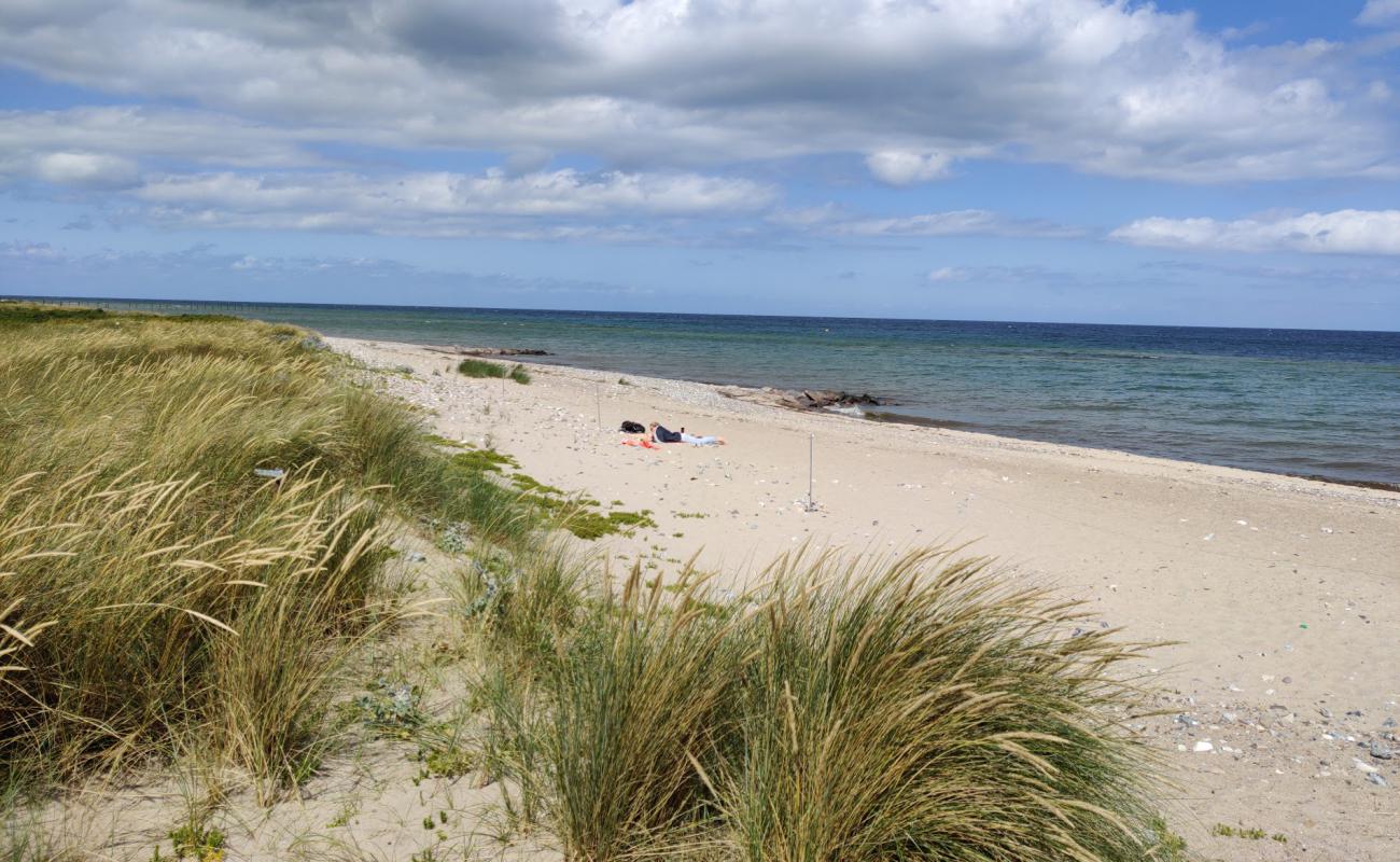 Behrensdorfer Strand'in fotoğrafı bej kum ve çakıl yüzey ile