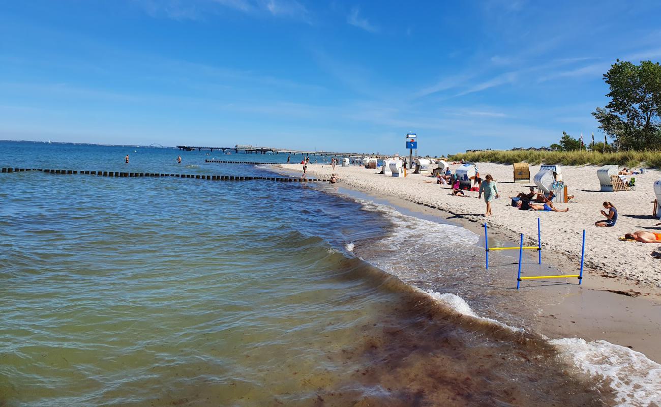 Heiligen Hafen Strand'in fotoğrafı - rahatlamayı sevenler arasında popüler bir yer