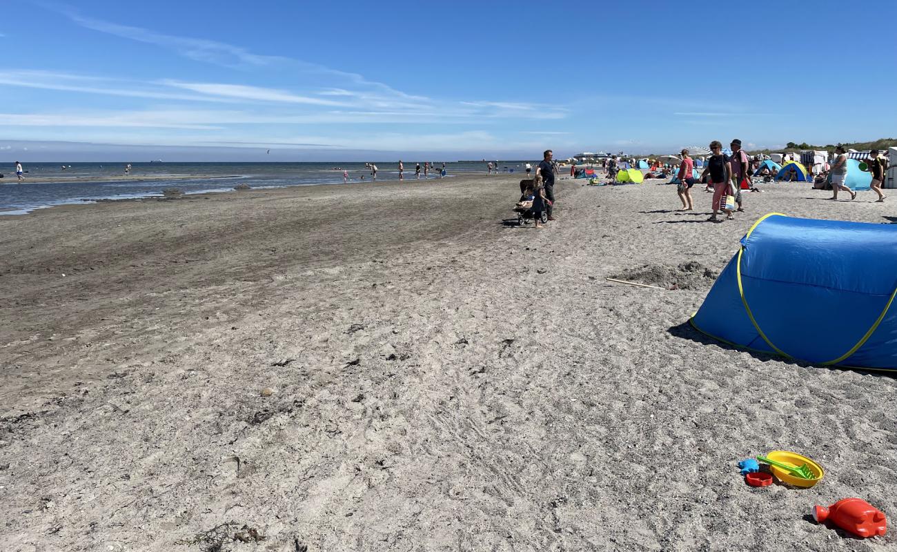 Grune Brink Strand'in fotoğrafı açık bej kum yüzey ile