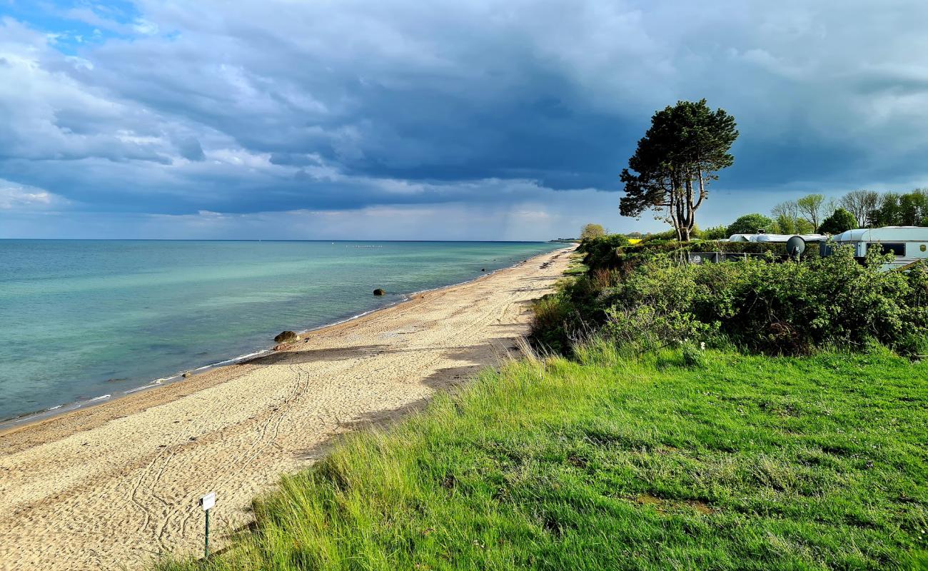 Ostermade camp strand'in fotoğrafı parlak kum yüzey ile