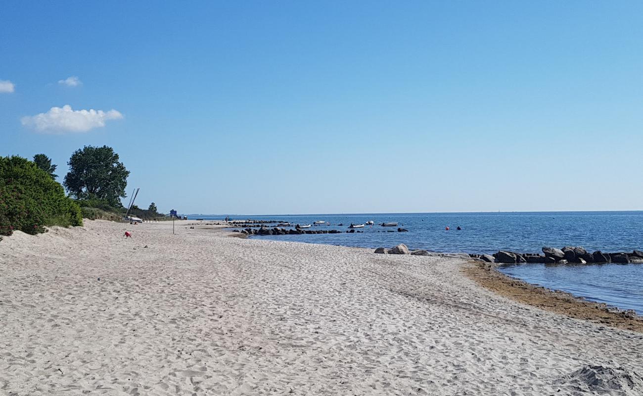 Bliesdorf plajı'in fotoğrafı parlak kum yüzey ile