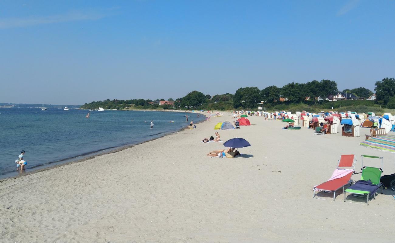 Pelzerhaken strand'in fotoğrafı parlak kum yüzey ile