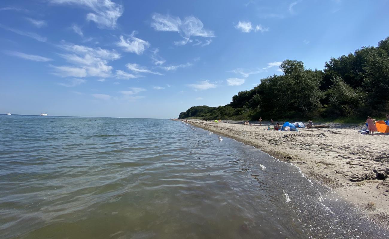 Gross Schwansee bei Kalkhorst Beach'in fotoğrafı açık bej kum yüzey ile
