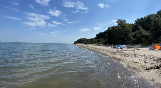 Naturstrand Gross Schwansee