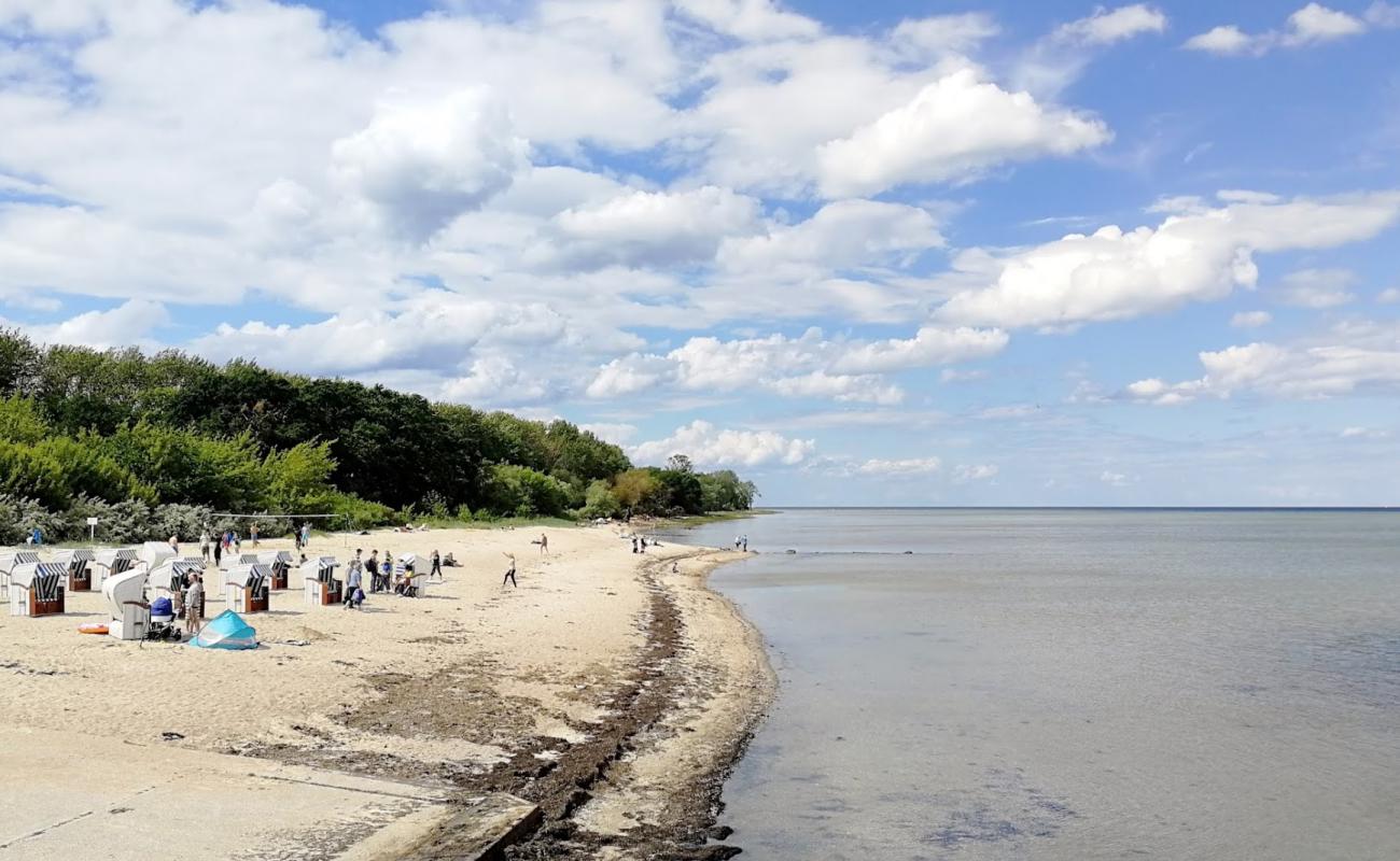 Strand Hohen Wieschendorf'in fotoğrafı i̇nce bej kum yüzey ile