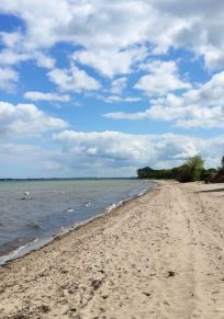 Zierow