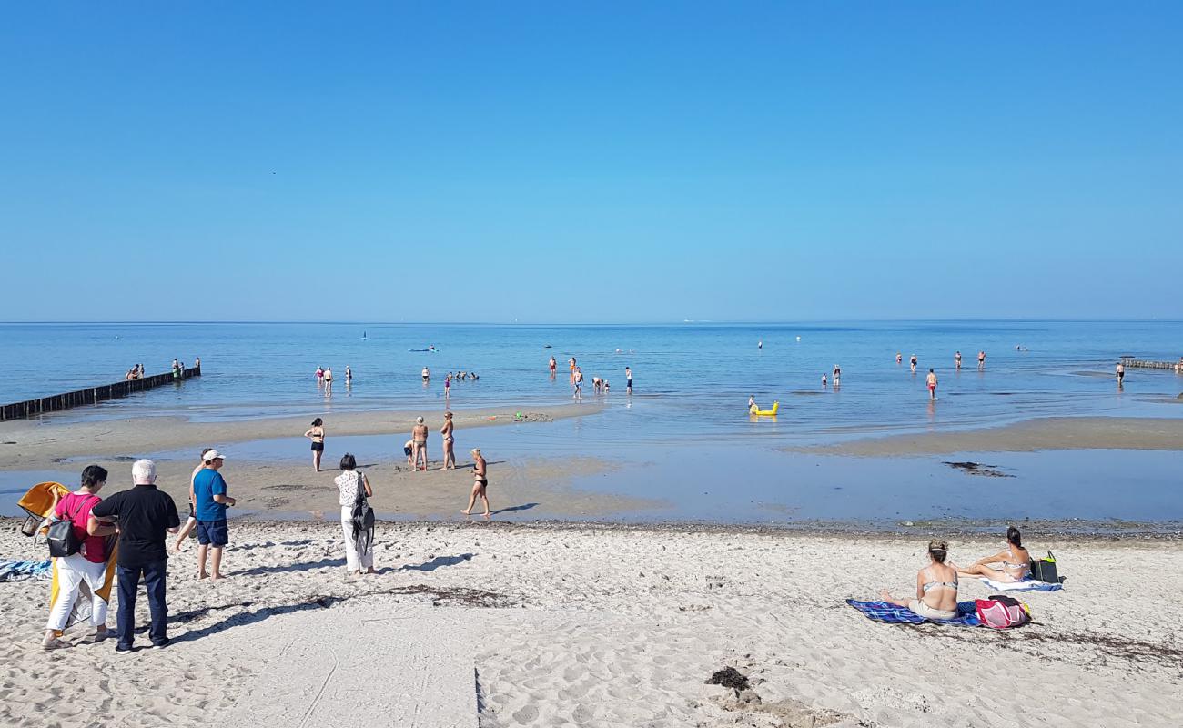 Black Bush Beach'in fotoğrafı parlak kum yüzey ile