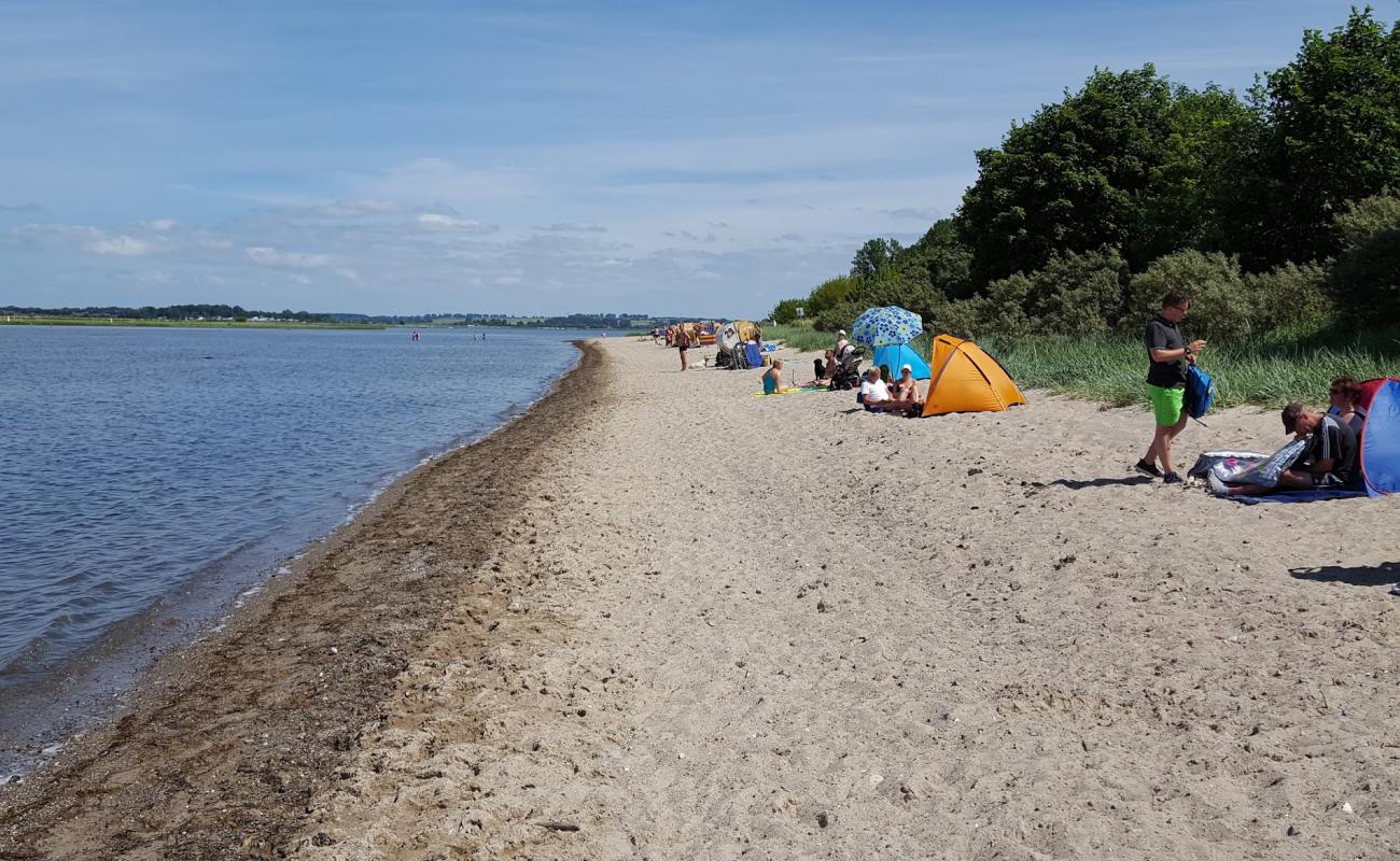 Gollwitzer Strand'in fotoğrafı parlak kum yüzey ile