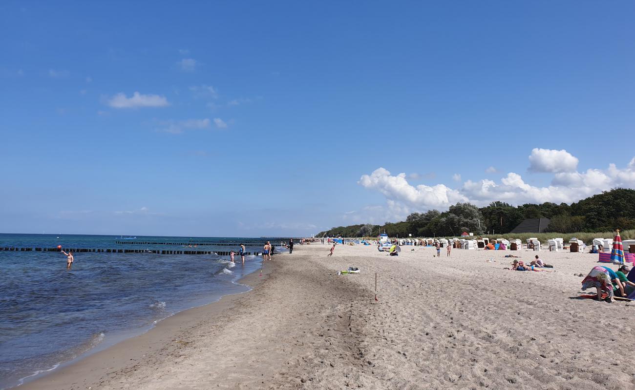 Kühlungsborn Plajı'in fotoğrafı parlak kum yüzey ile