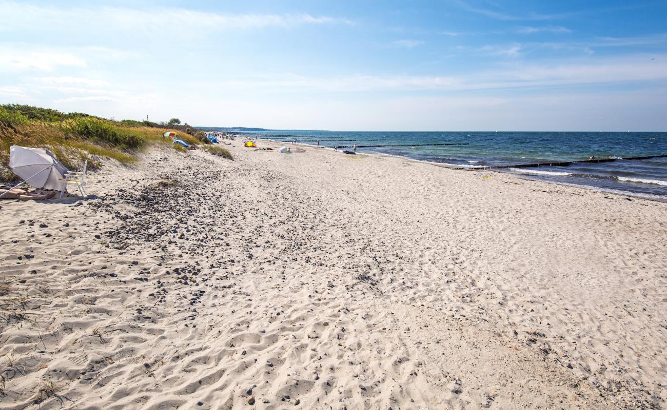 Strand Borgerende'in fotoğrafı açık bej kum yüzey ile