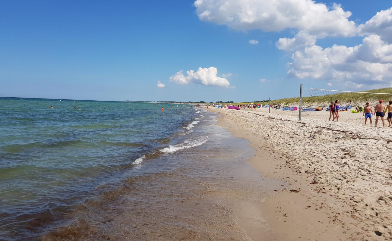 Dierhagen Strand'in fotoğrafı parlak kum yüzey ile