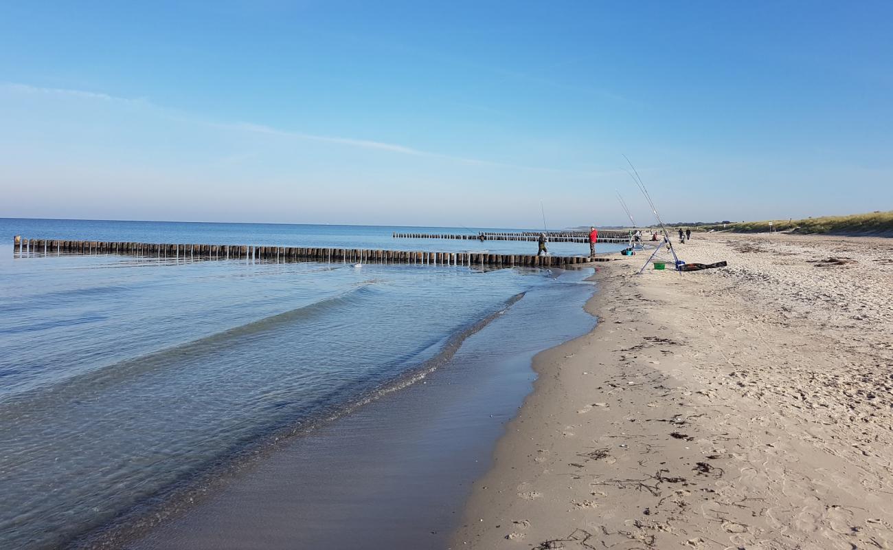 Dierhagen Ost Beach'in fotoğrafı açık bej kum yüzey ile
