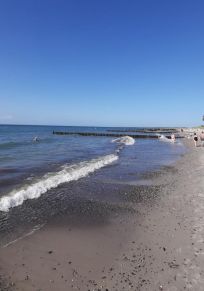 Ahrenshoop